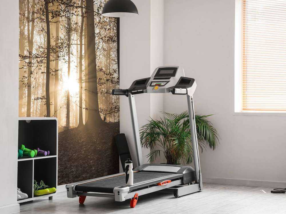 Zonnestralen in een mistig bos