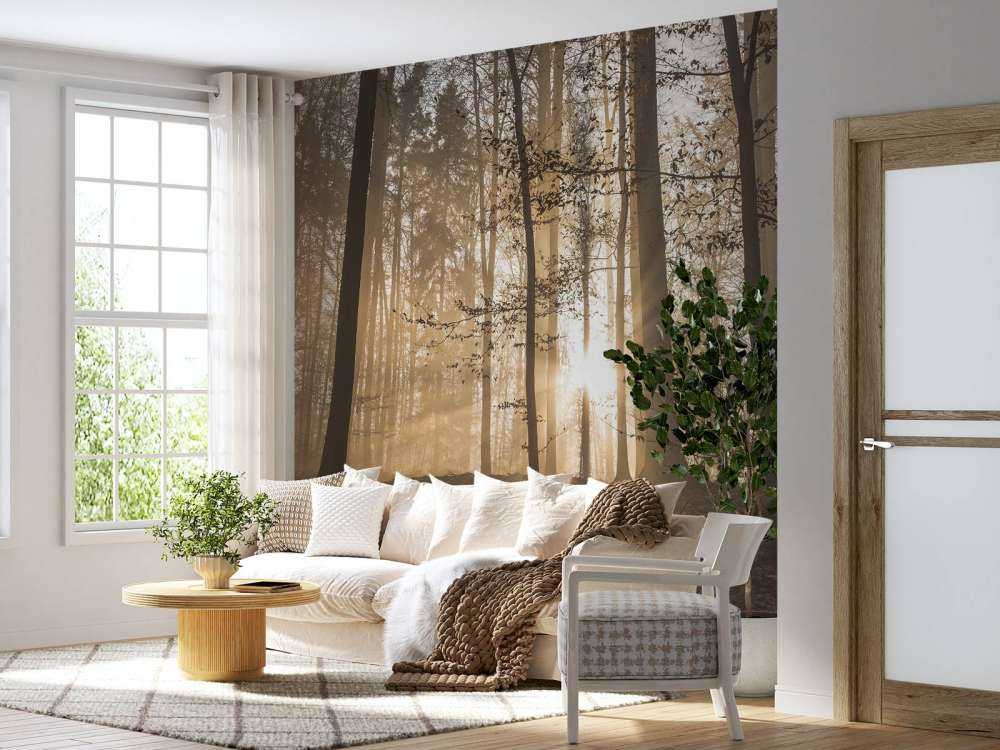 Zonnestralen in een mistig bos