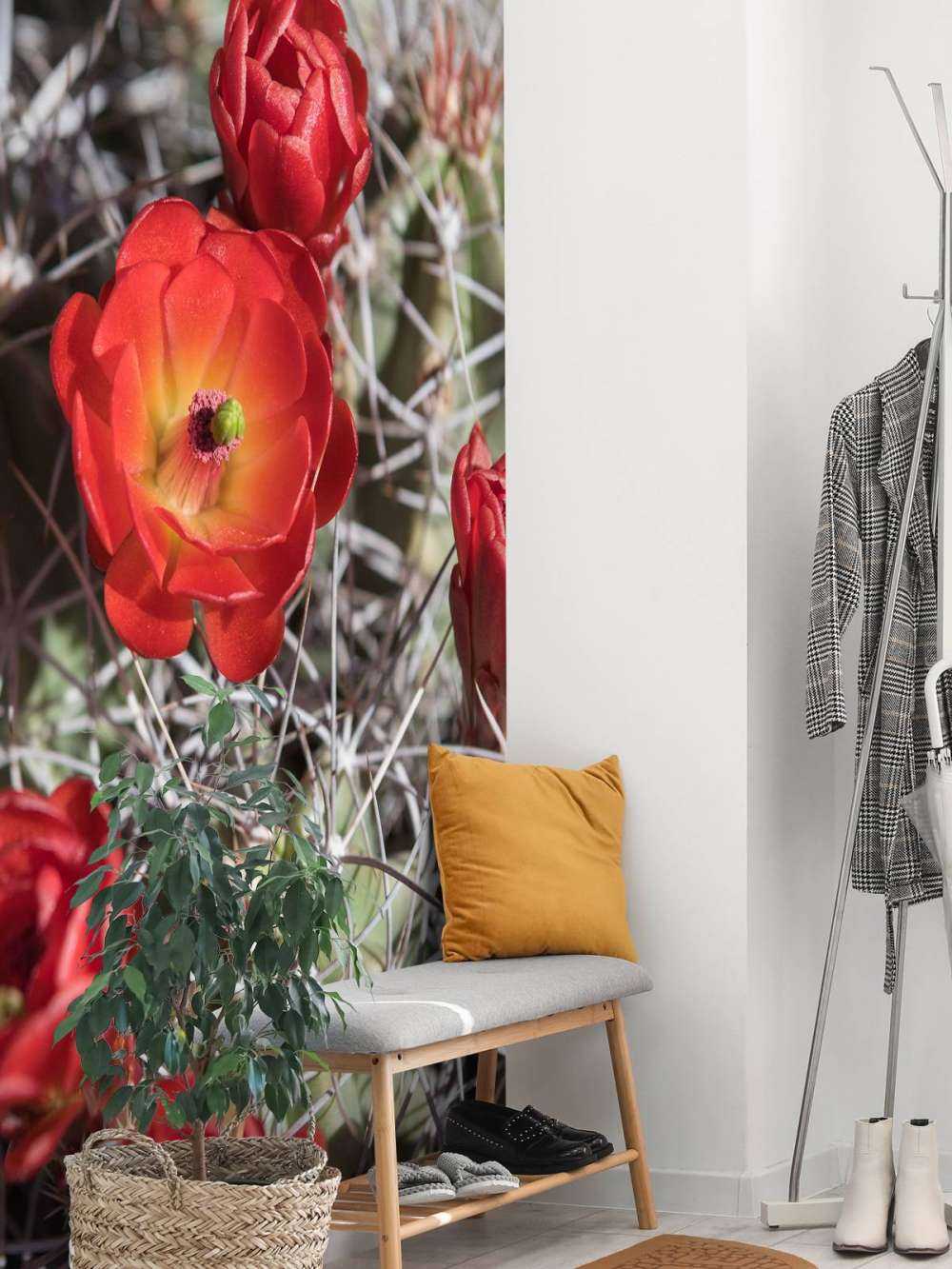 Rode cactus bloemen