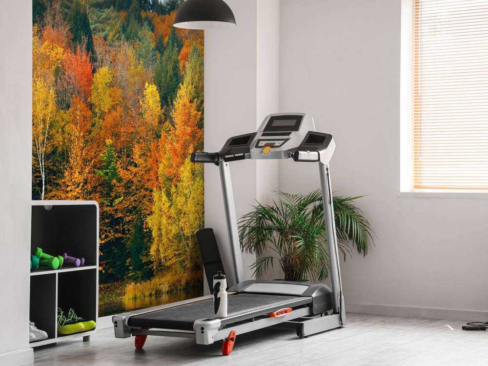 Meer met herfstbomen