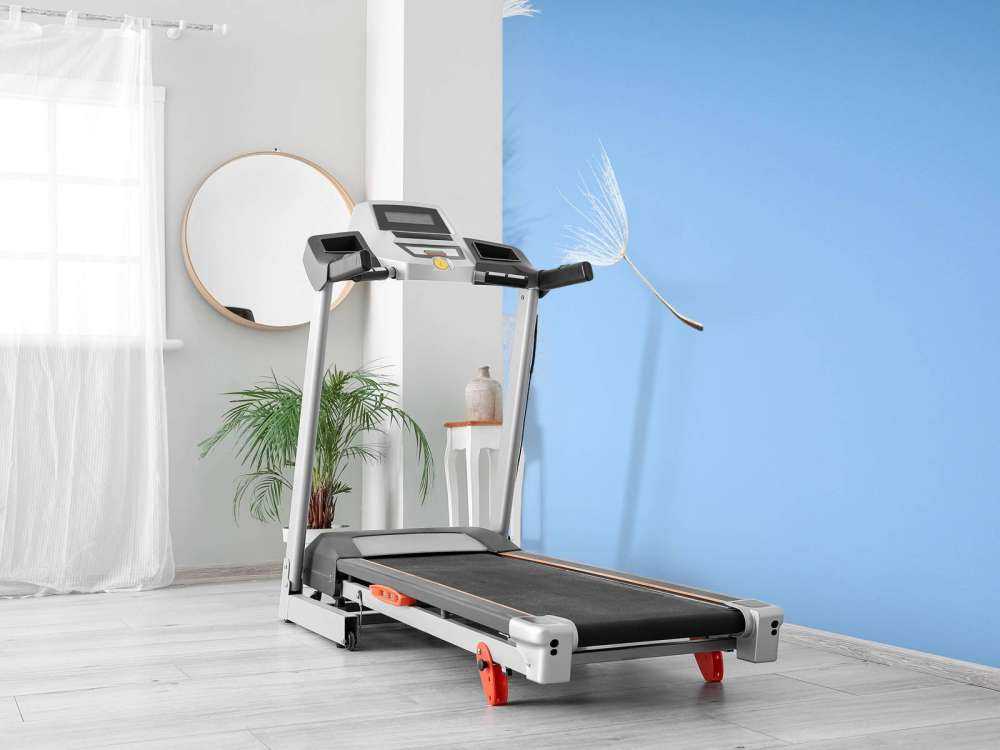 Vliegende paardenbloem pluis