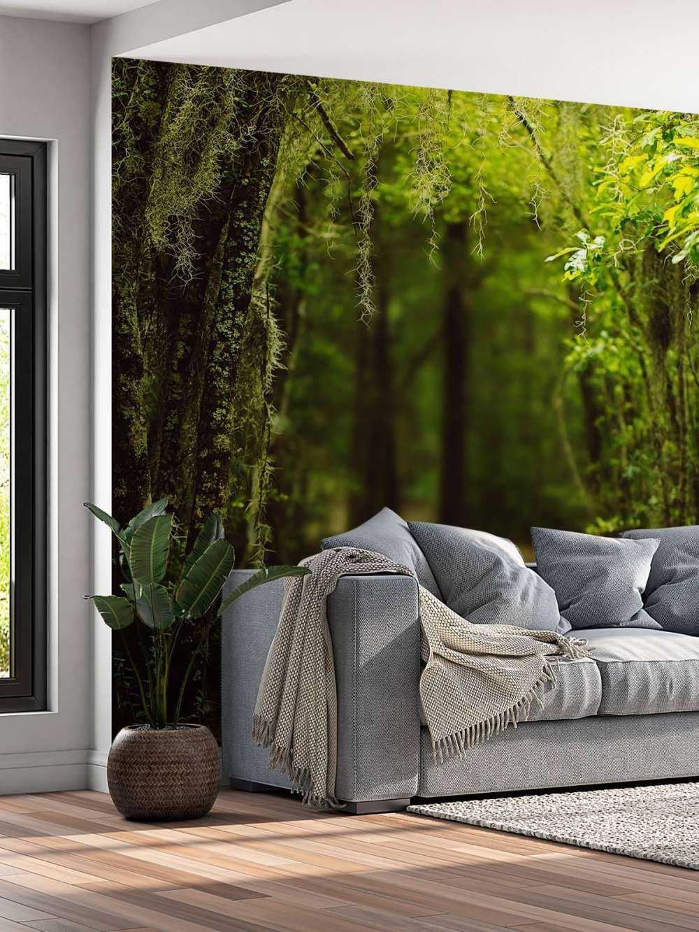 Spaans bos vol met mos