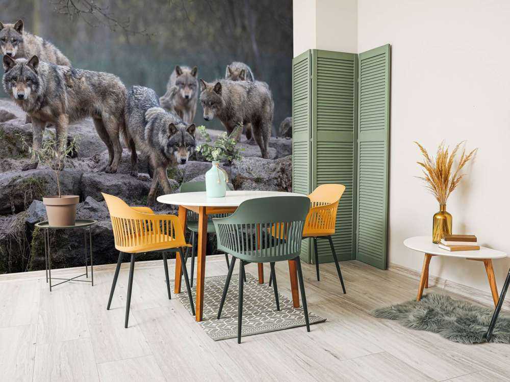 Woudwachters Schemering