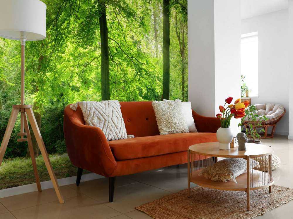 Bos met lichte nevel