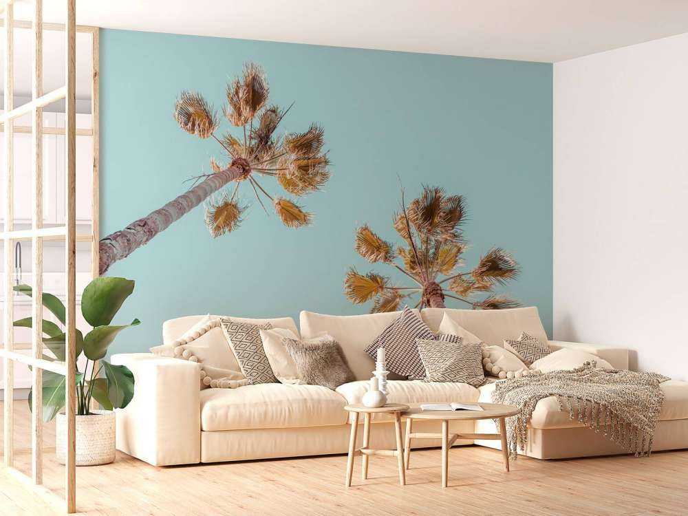 palmbomen met een blauwe lucht