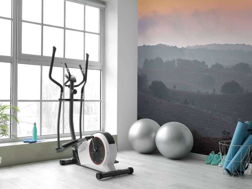 Mistige zonsopkomst op de heide