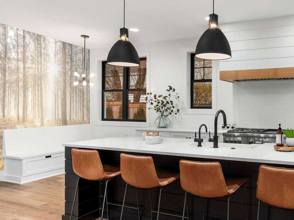 Zonnestralen in het koude bos