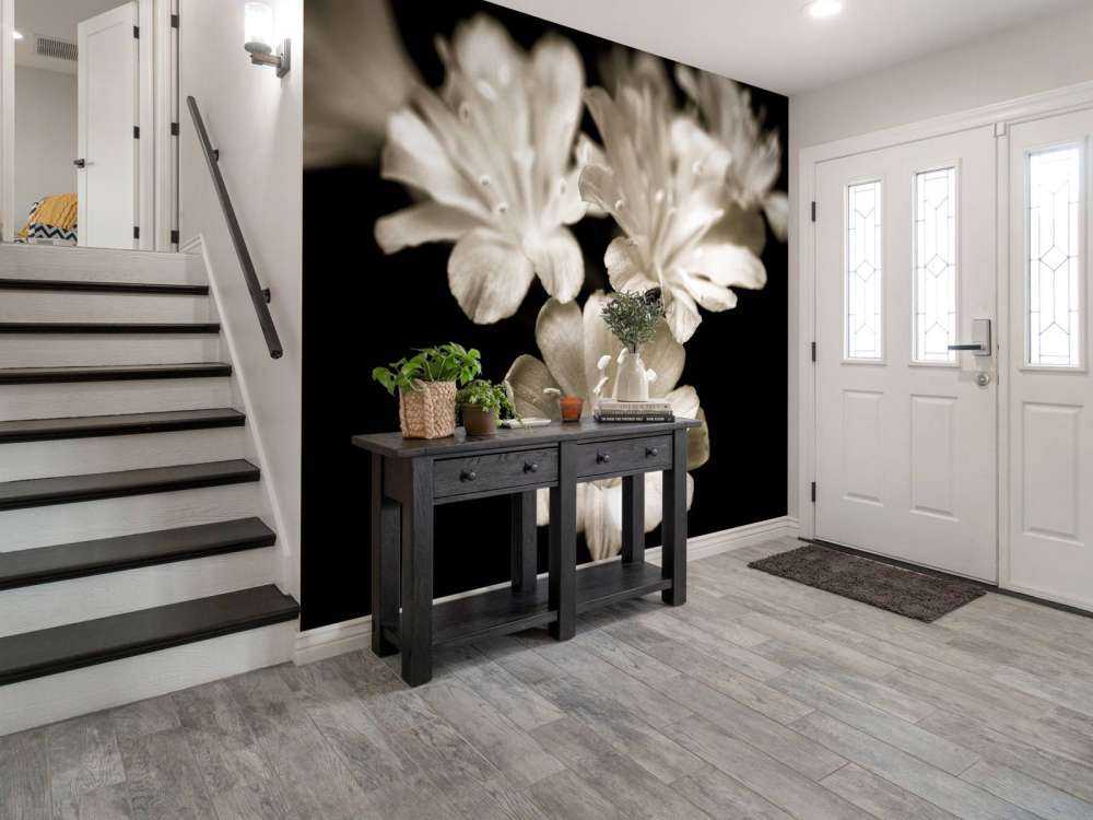 Lewisia bloesem close-up