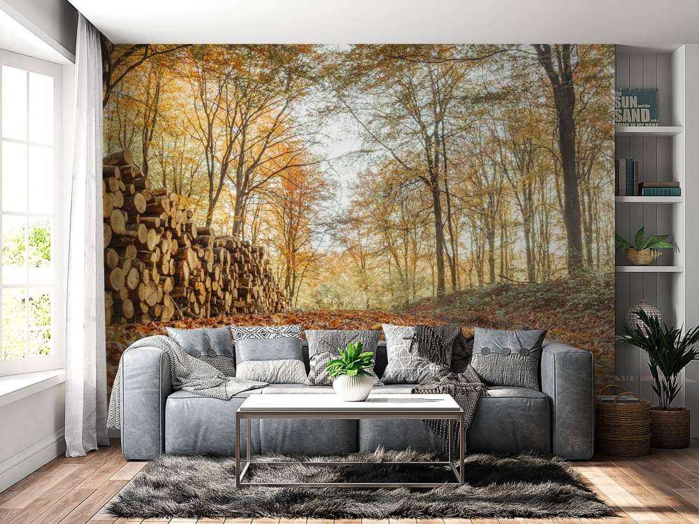 Boomstammen in herfstbos