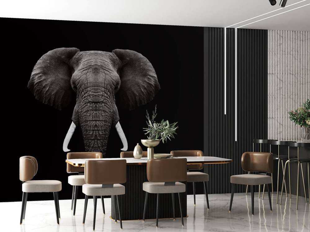 Dark Elephant