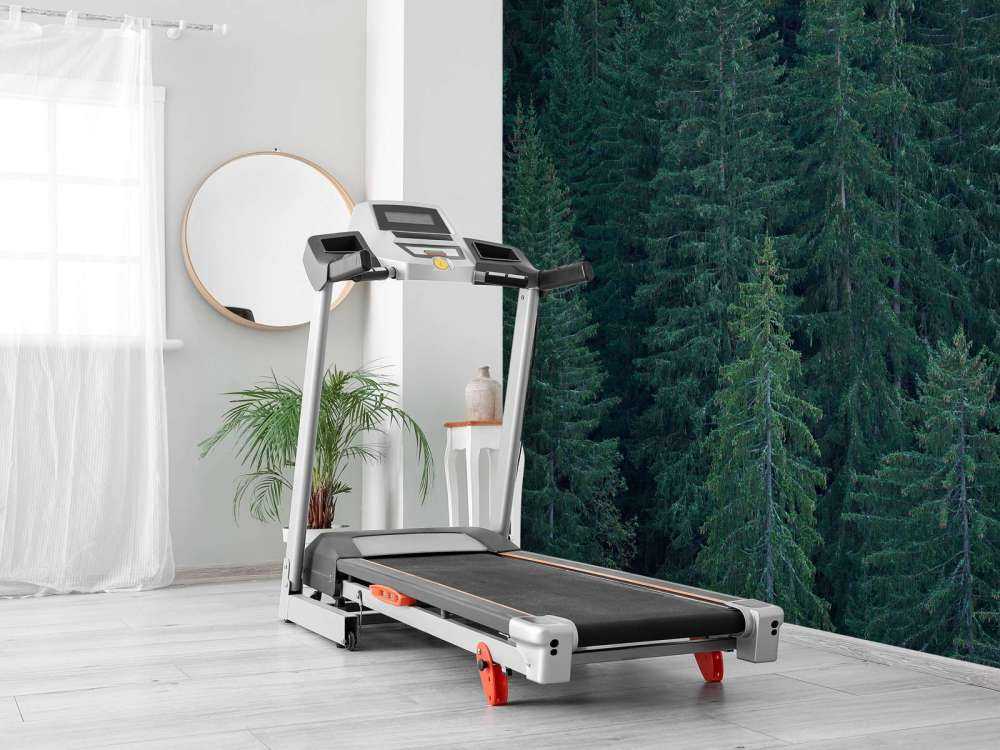 Naaldbomen met dennenappels