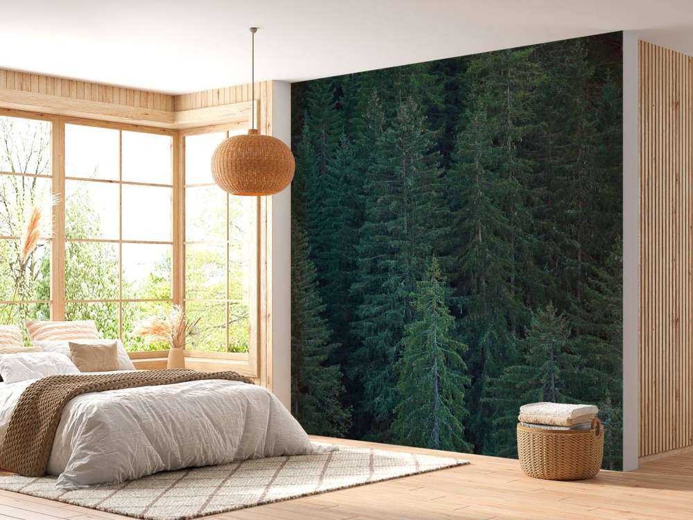 Naaldbomen met dennenappels