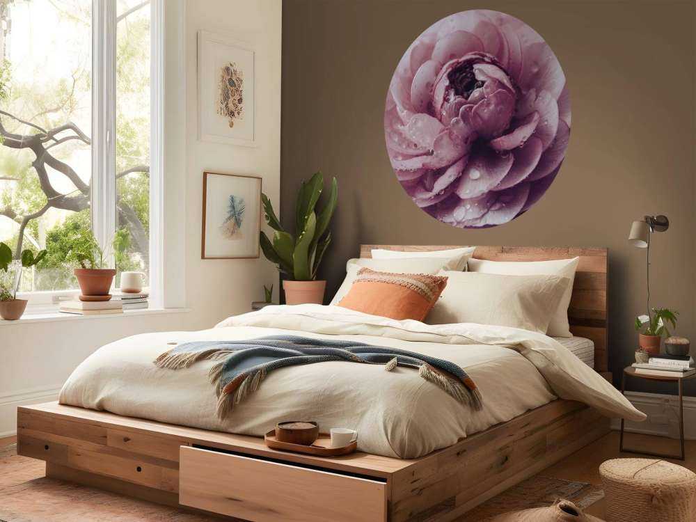 Roze boterbloem close-up