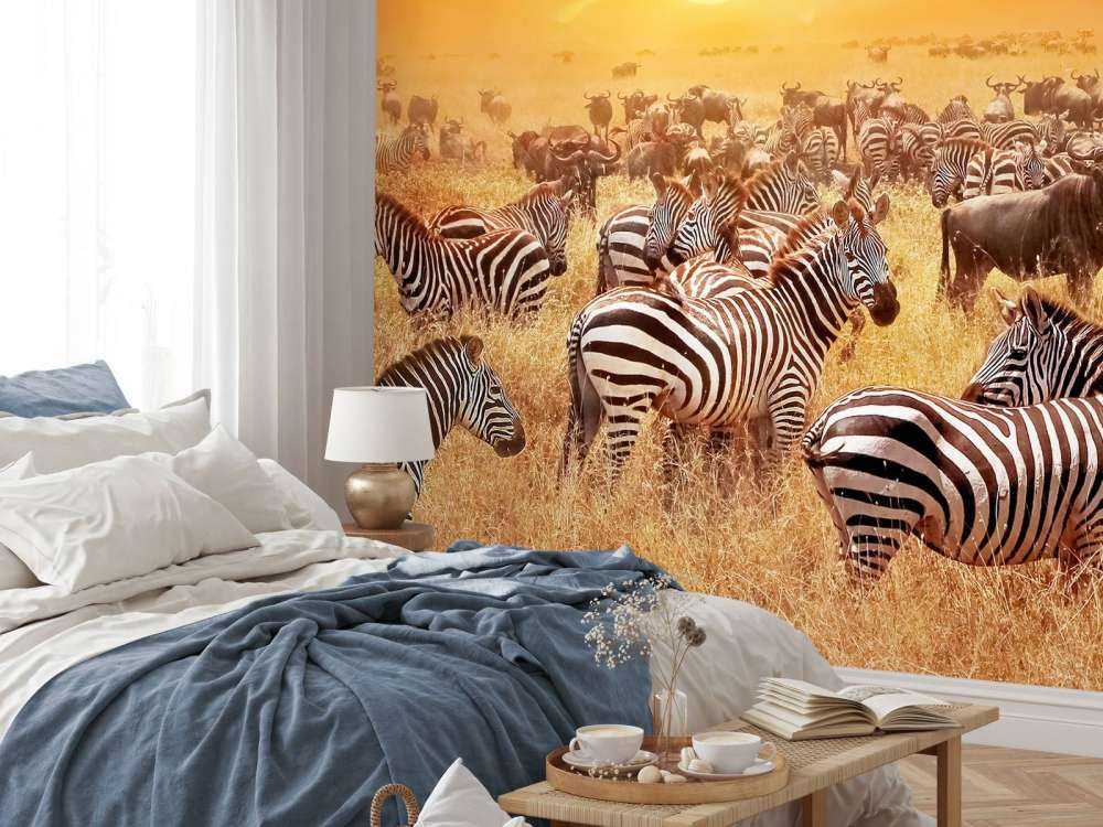 Savanne zon met zebra's