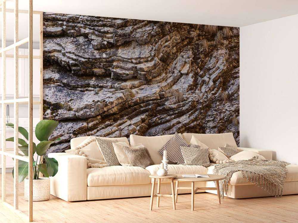 Close-up kalkstenen rots