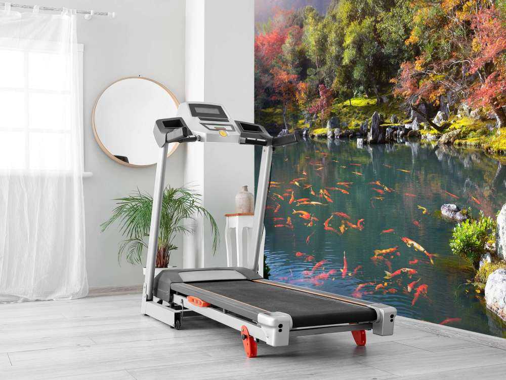 Vijver met tropische vissen in Japan