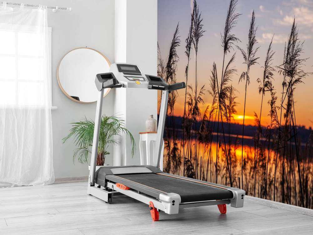 Rivier met riet bij zonsondergang