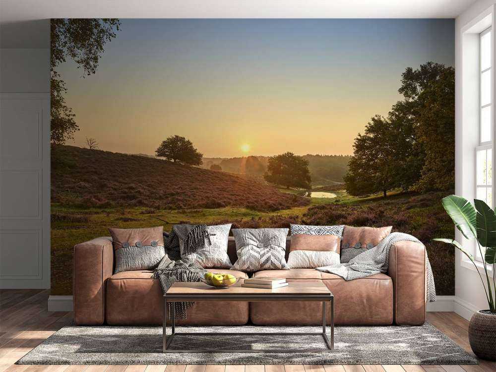 Waterplas op de heide