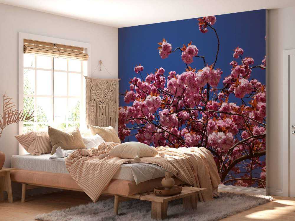 Roze bloesem met blauwe lucht