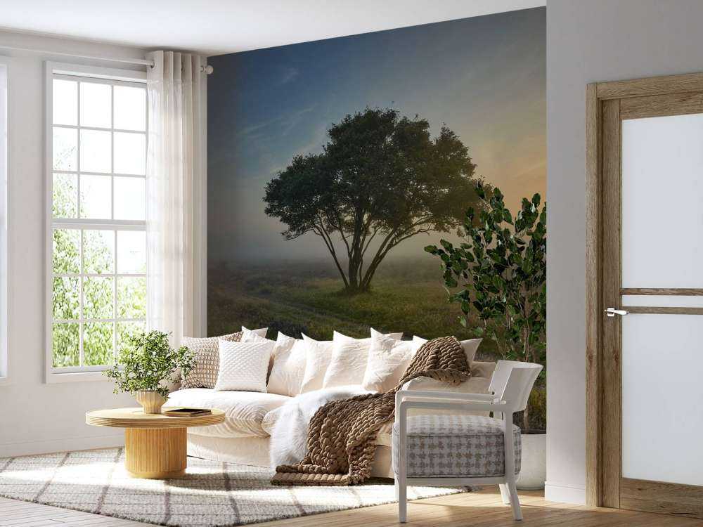 Zonsopkomst op de heide