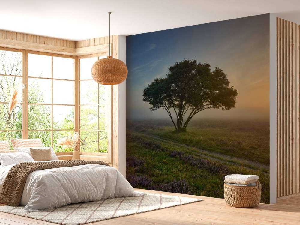 Zonsopkomst op de heide