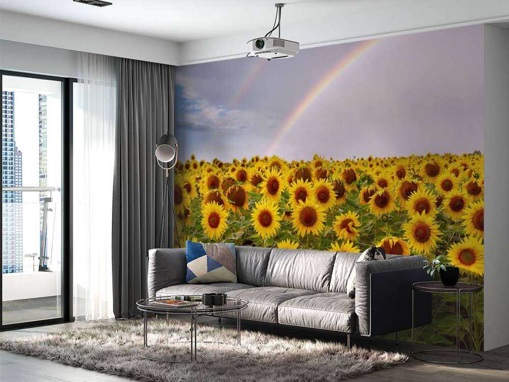 Regenboog bij zonnebloemen