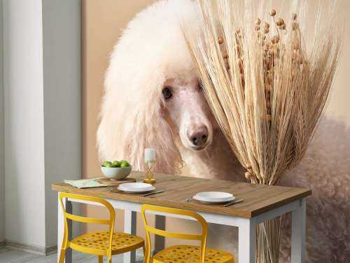 Hond en bloemen