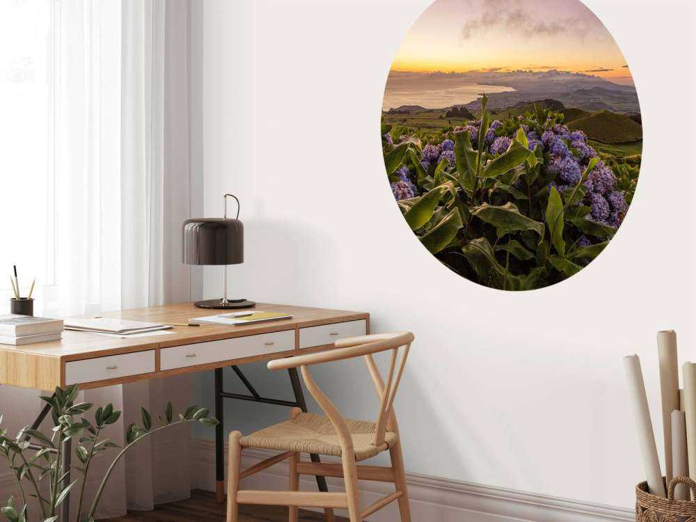 Zonsondergang met hortensia's