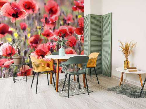 Klaprozen met vintage look