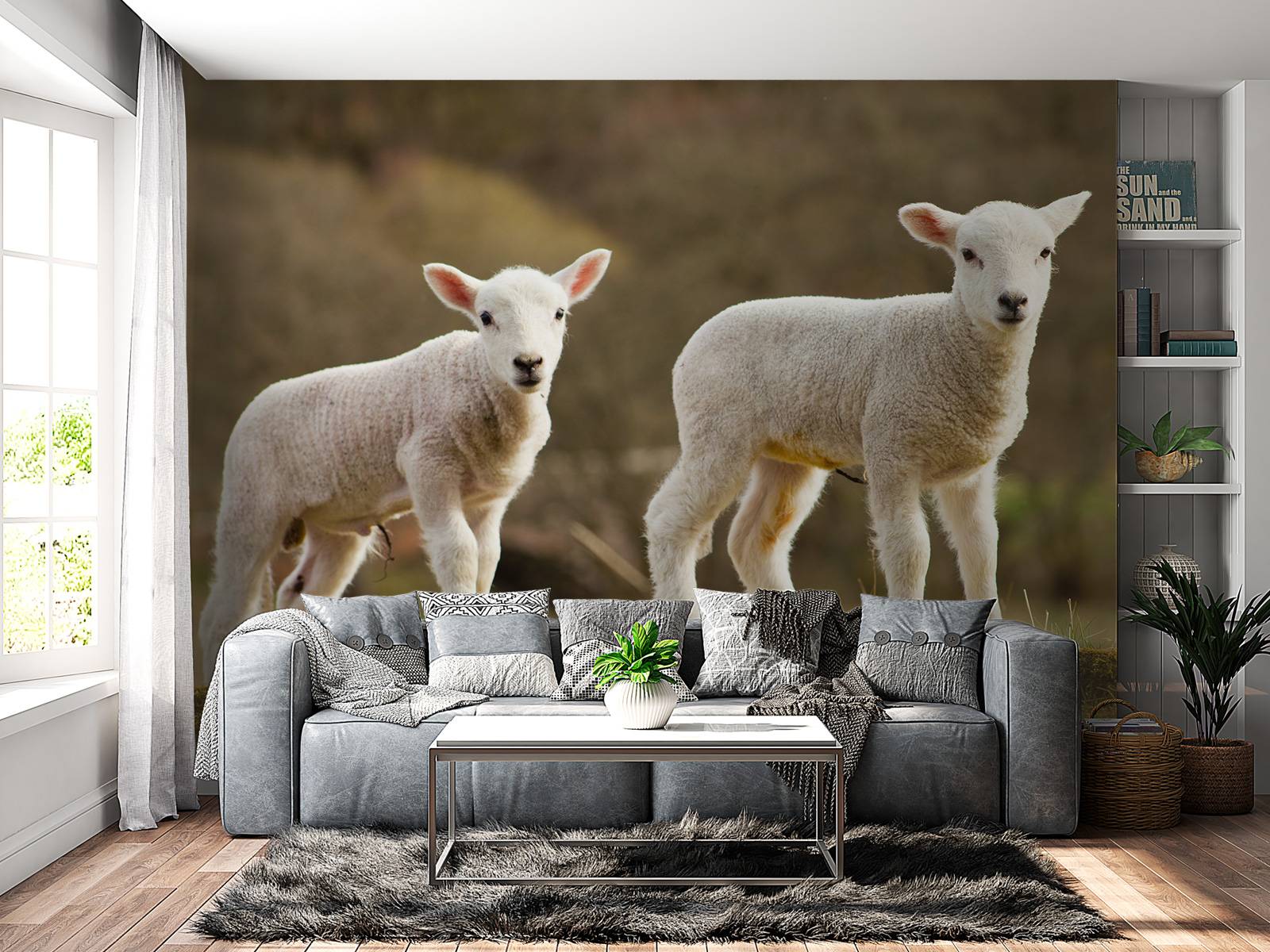 Witte lammetjes