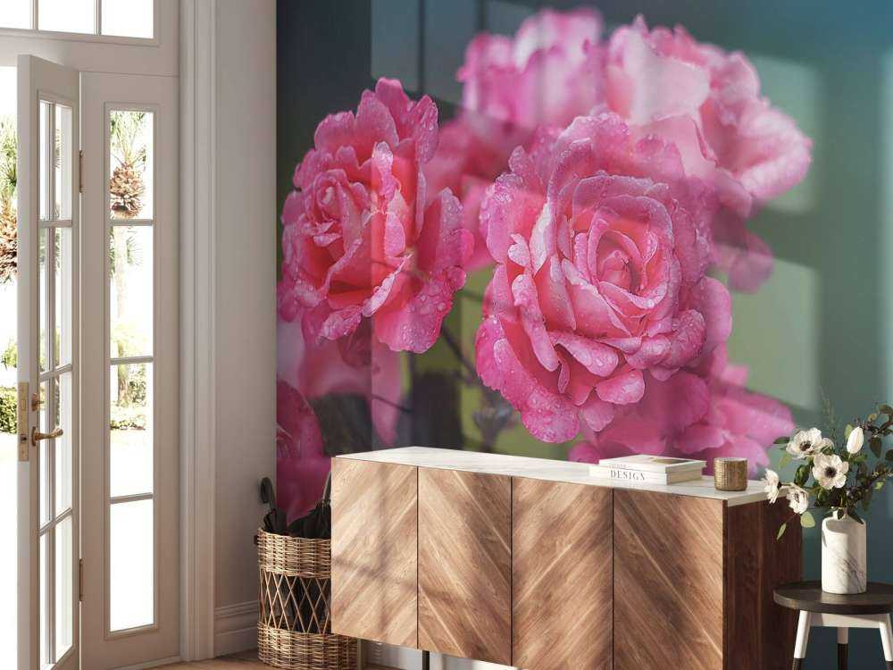 Roze rozentak