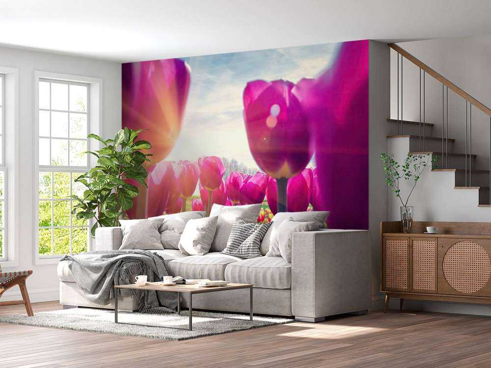 Tulpenveld roze