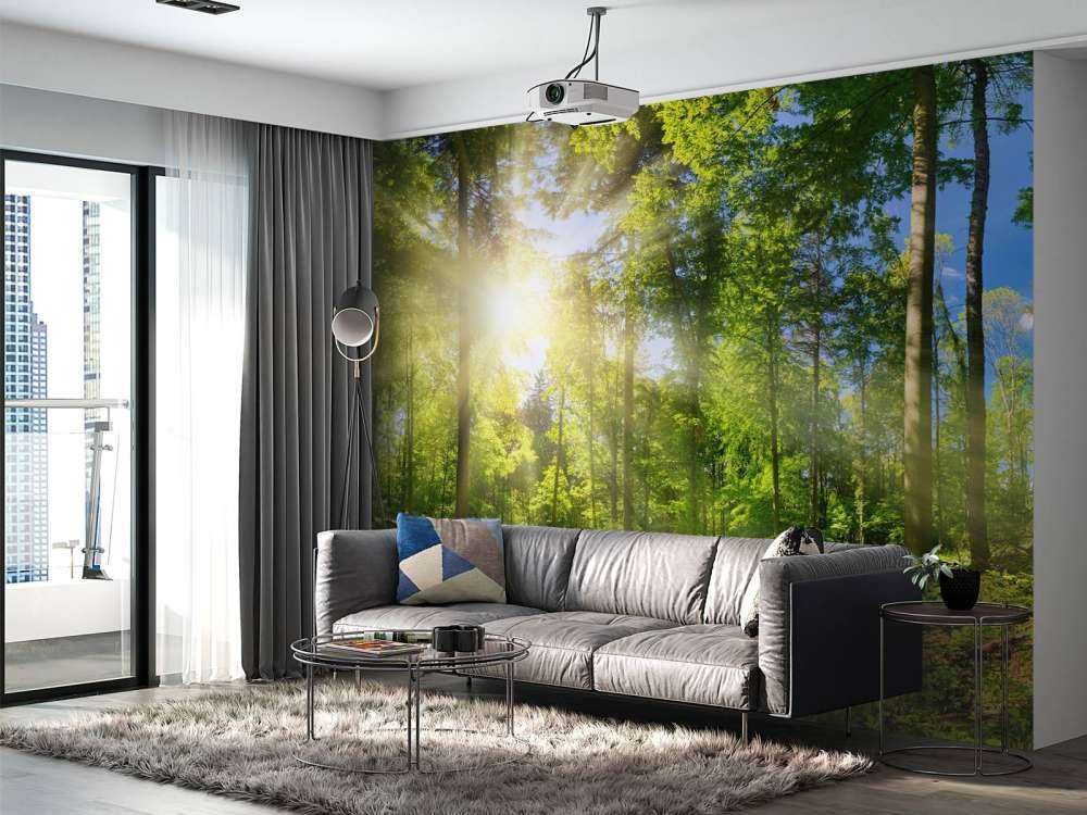 Bos met zonnestralen