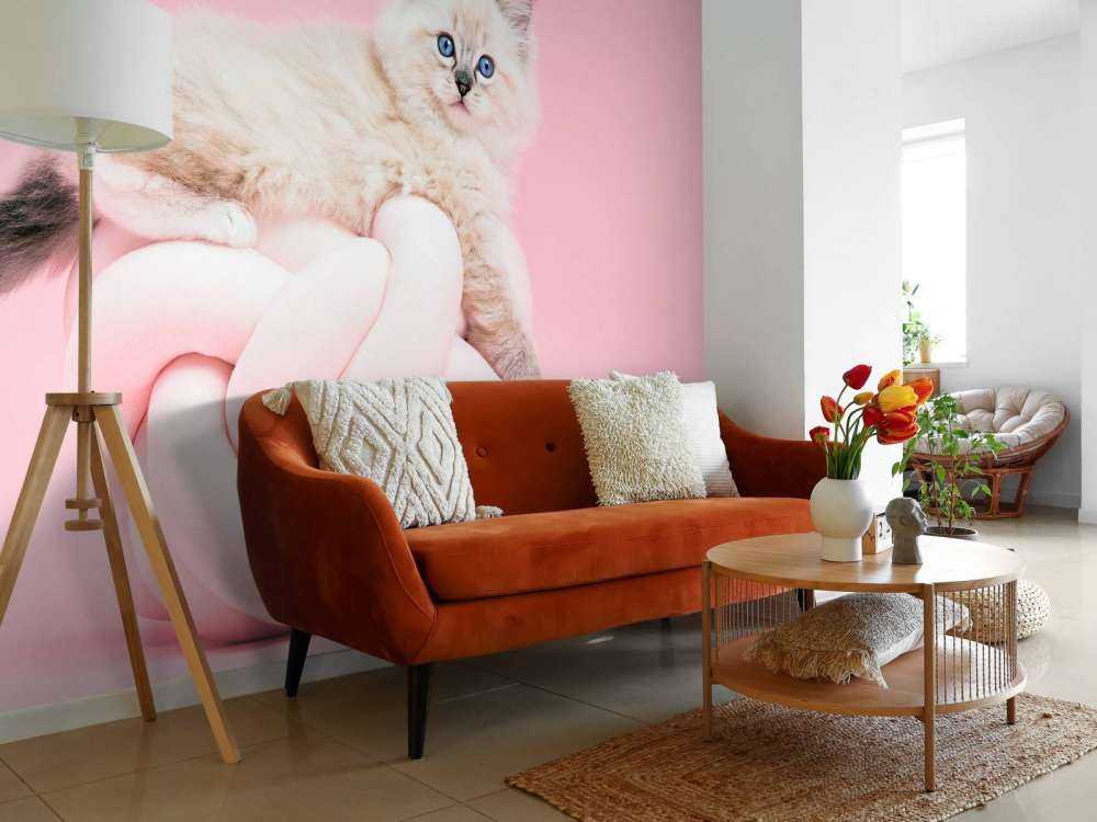 Witte poes op roze achtergrond