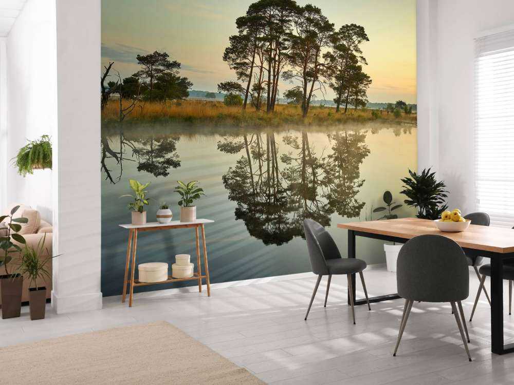 Reflectie in bosven