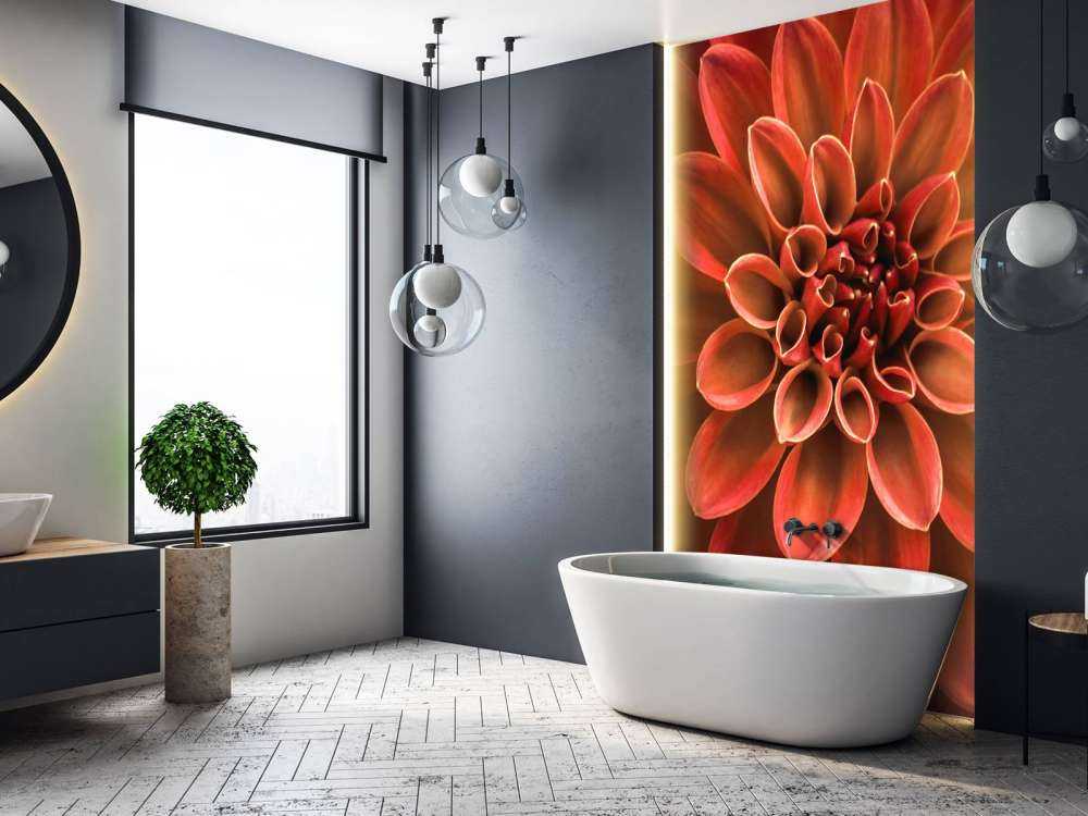 Gekleurde dahlia