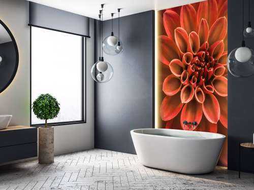 Gekleurde dahlia