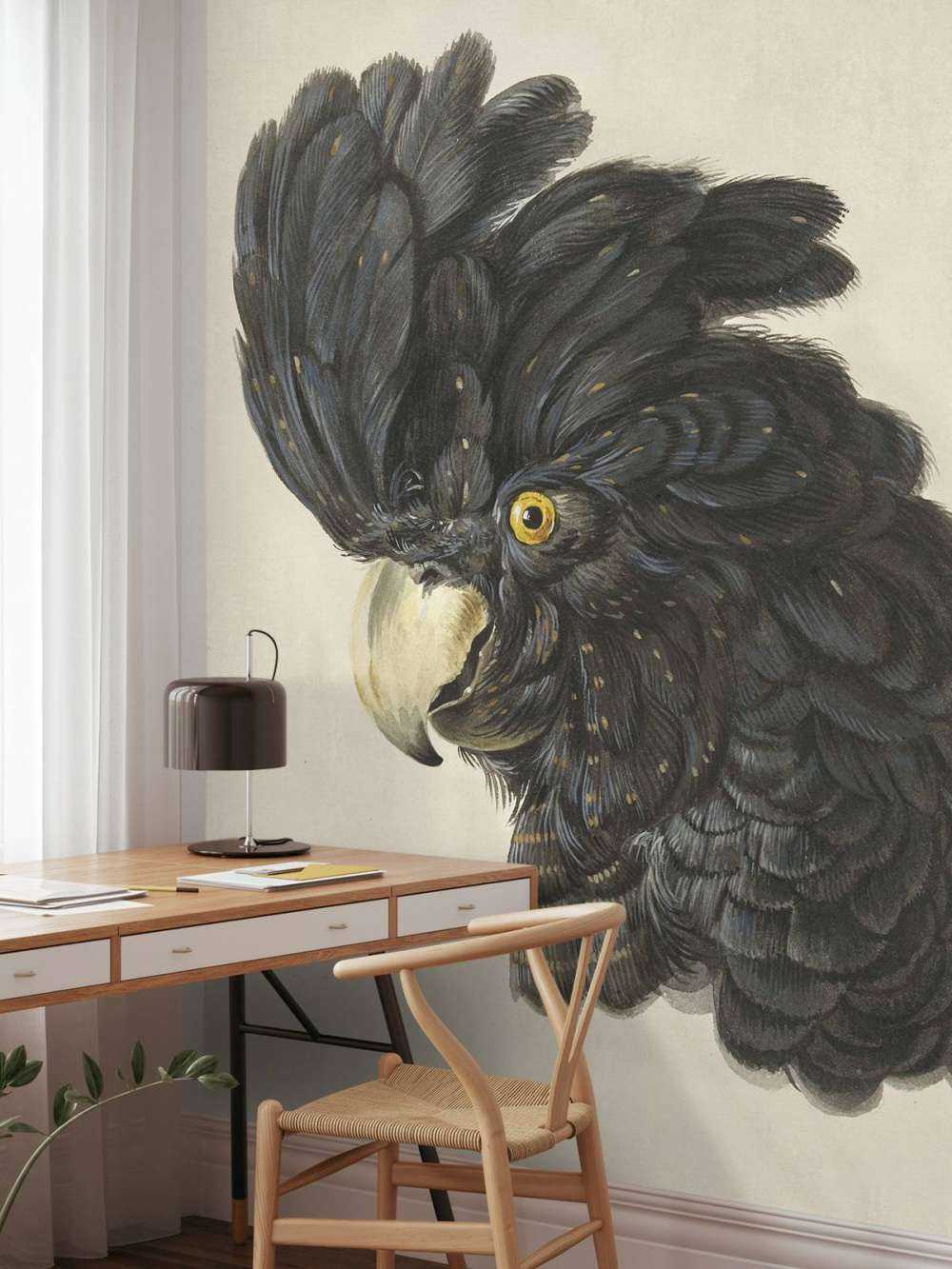 Black cockatoo portrait