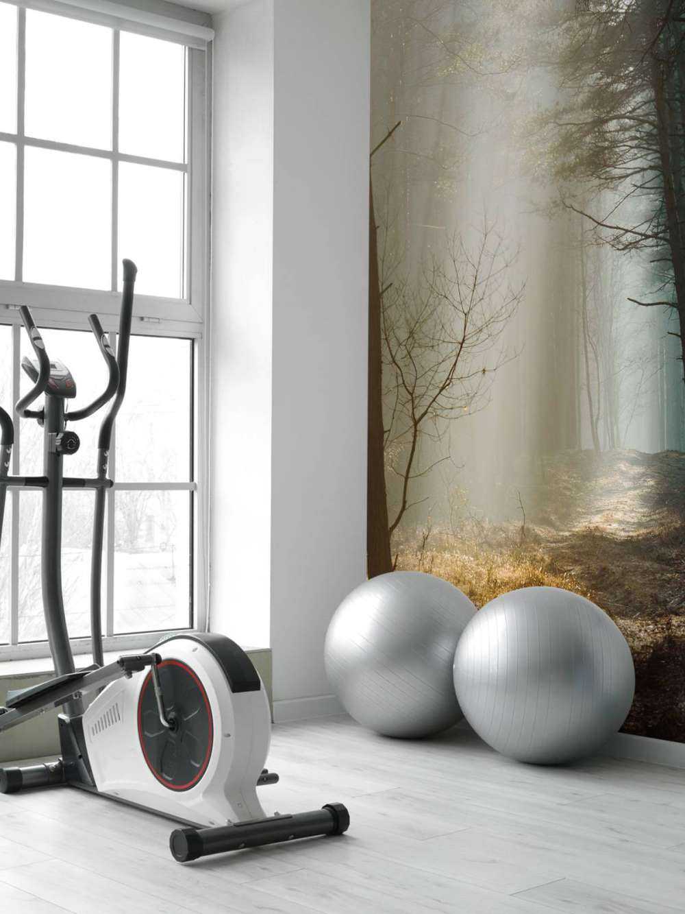 Zonnestralen in een Herfstig Bos