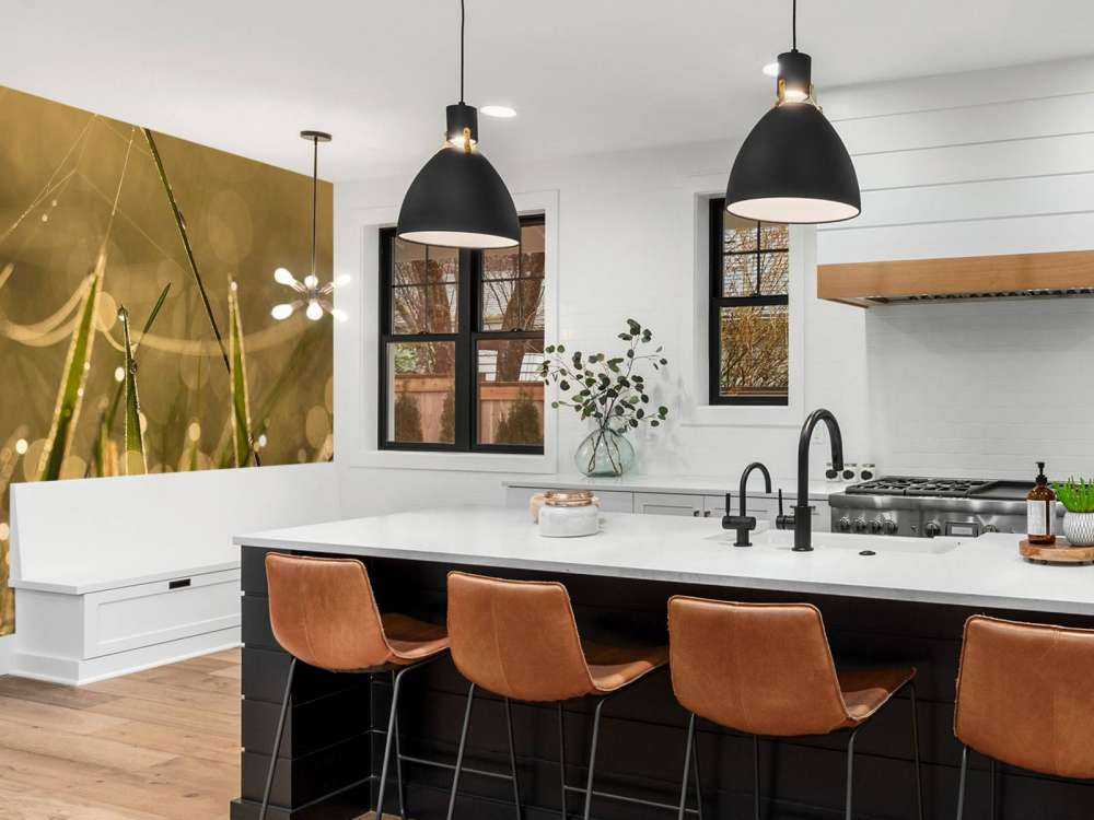 Glanzend Ochtendgras