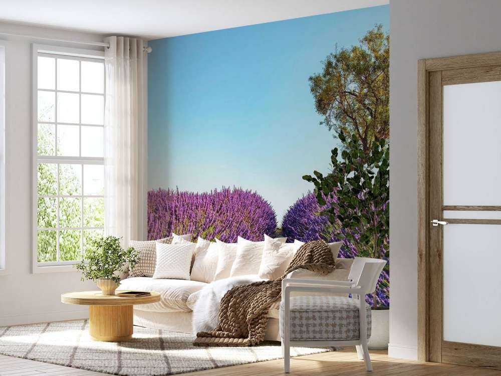 Lavendelpad onder blauwe hemel