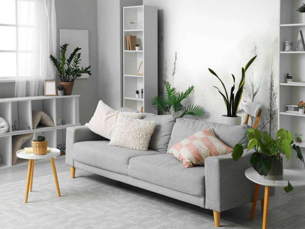 Morning Silence Misty White