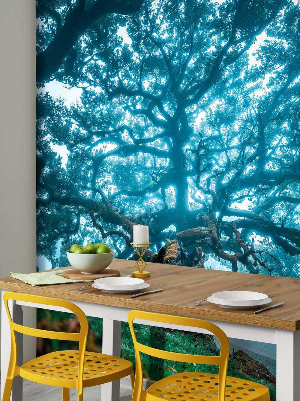 Oude eik in nevelwoud