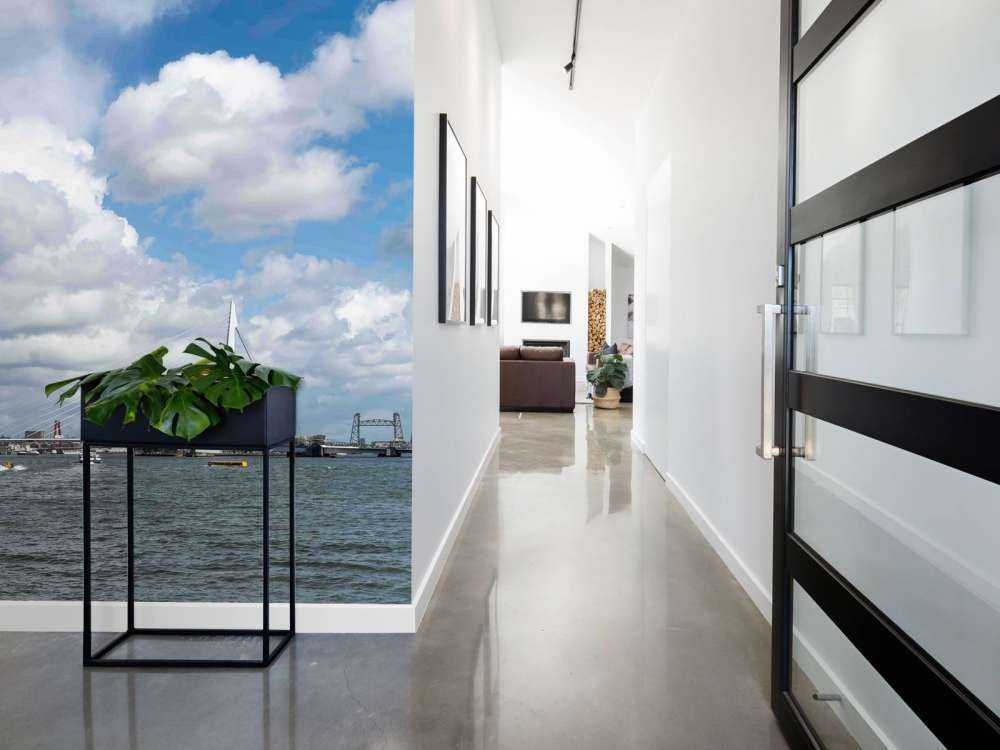 Stadszicht met Erasmusbrug