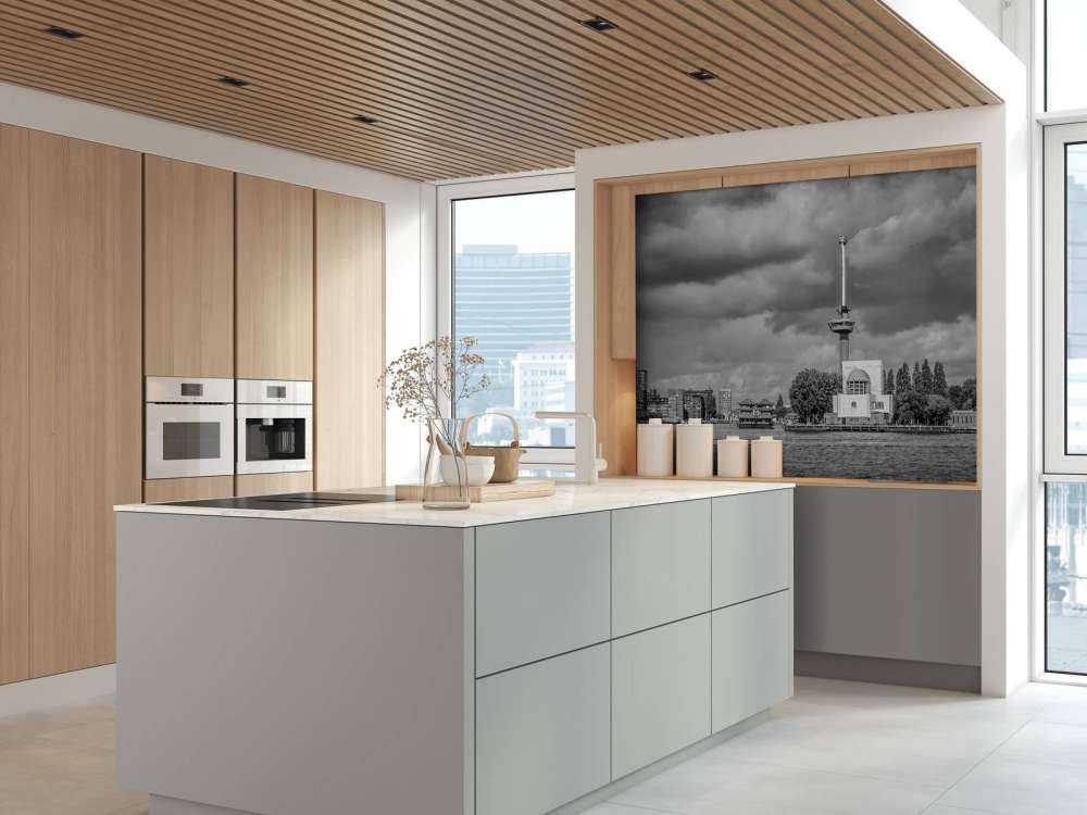 Euromast en Maas in Monochroom