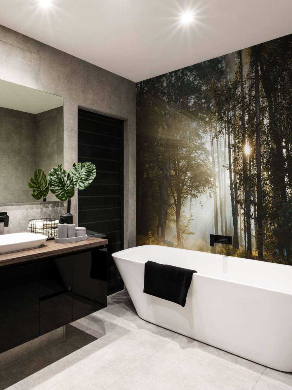 Stralend Ochtendlicht door het Bos