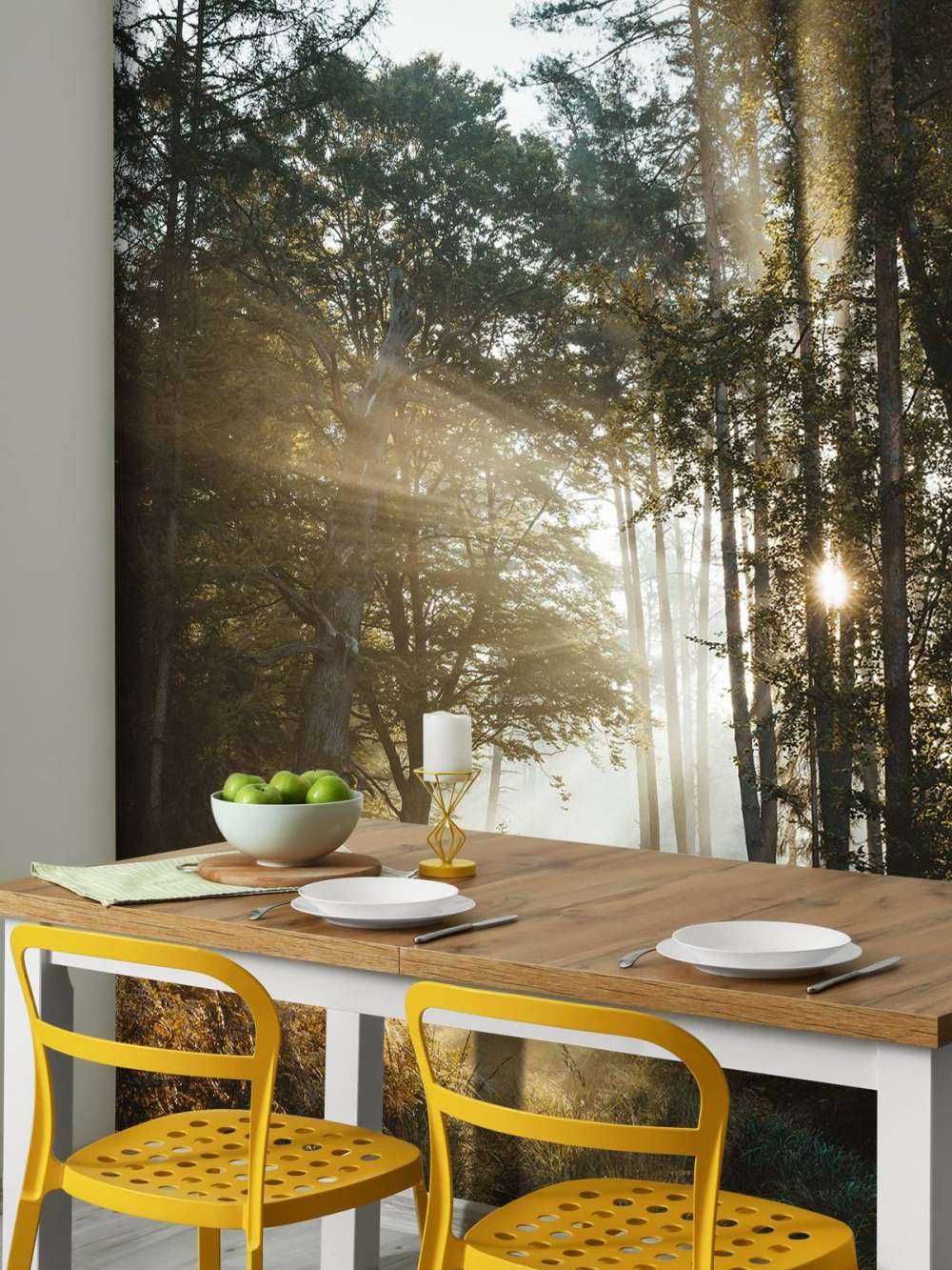 Stralend Ochtendlicht door het Bos