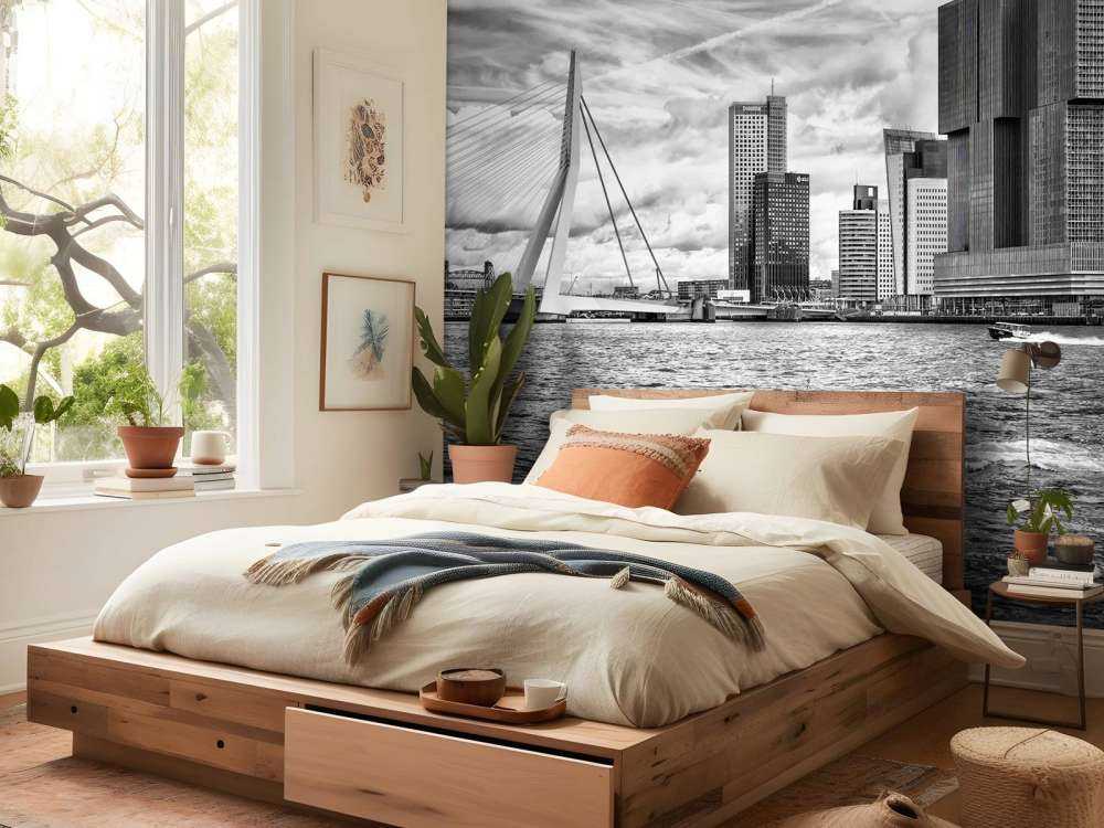 Erasmusbrug en Skyline in Monochroom