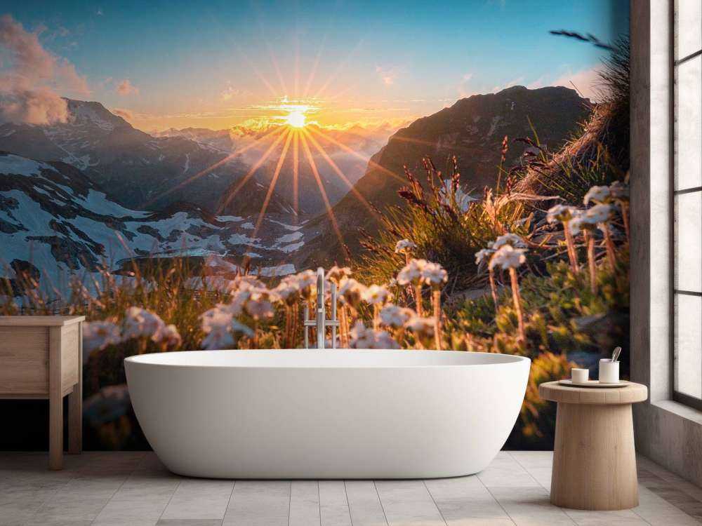 Zonlicht over alpenweide