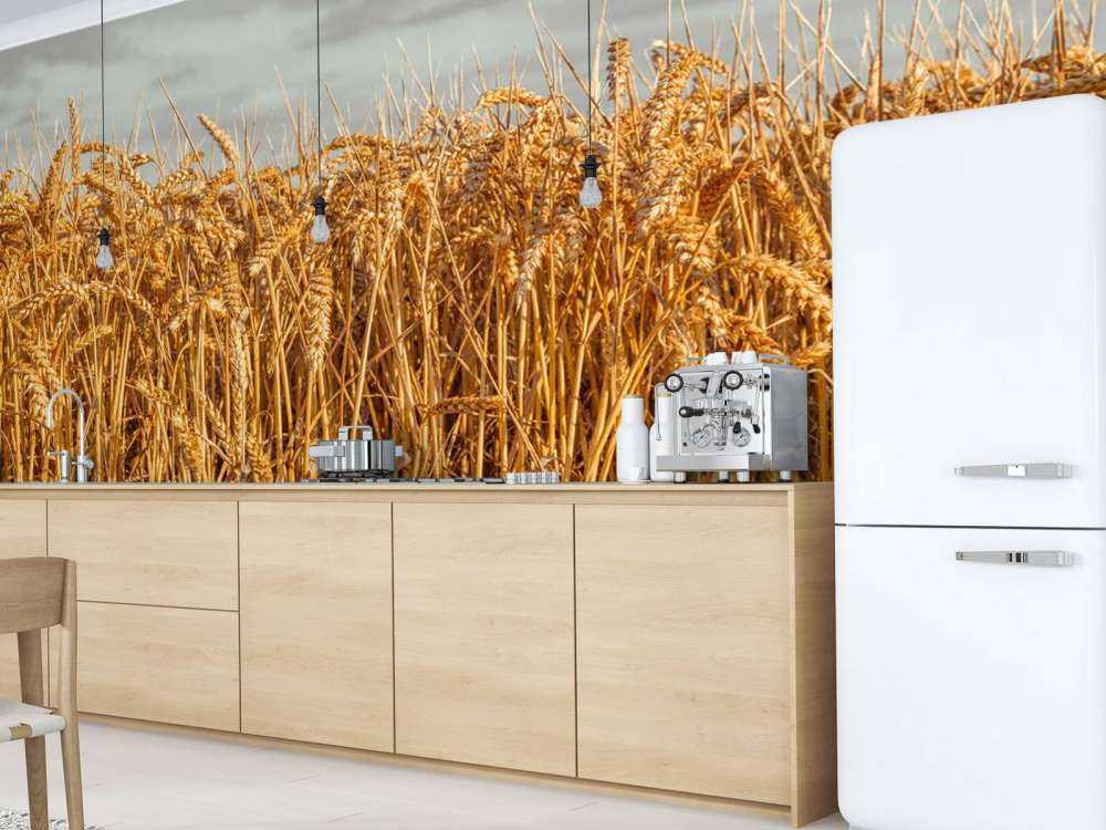 Golden wheat under brooding skies